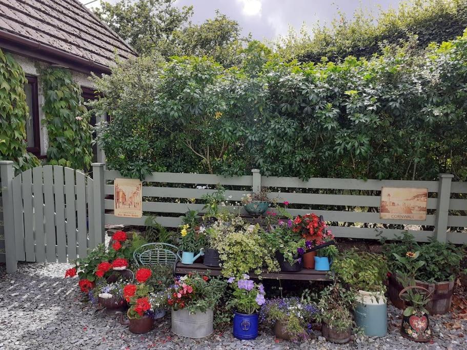 Oakey Orchard - Cosy Apartment In Tamar Valley, Cornwall Saint Dominick Kültér fotó